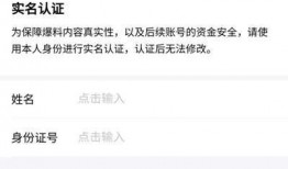 拍视频爆料怎么赚钱的,如何通过拍视频实现财富增长