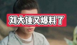 刘大锤爆料视频合集下载,揭秘娱乐圈幕后真相