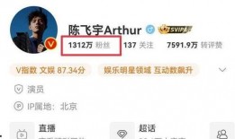 站姐爆料偶像是谁啊视频,神秘偶像身份揭晓，视频揭秘偶像真容