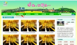 东莞新闻今日爆料最新,最新爆料揭露神秘事件真相