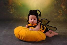 娱乐吃瓜小蜜蜂